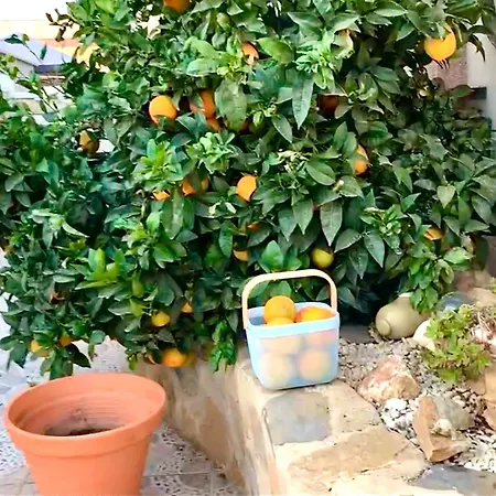Familienhaus In Cabo Roig * Orihuela